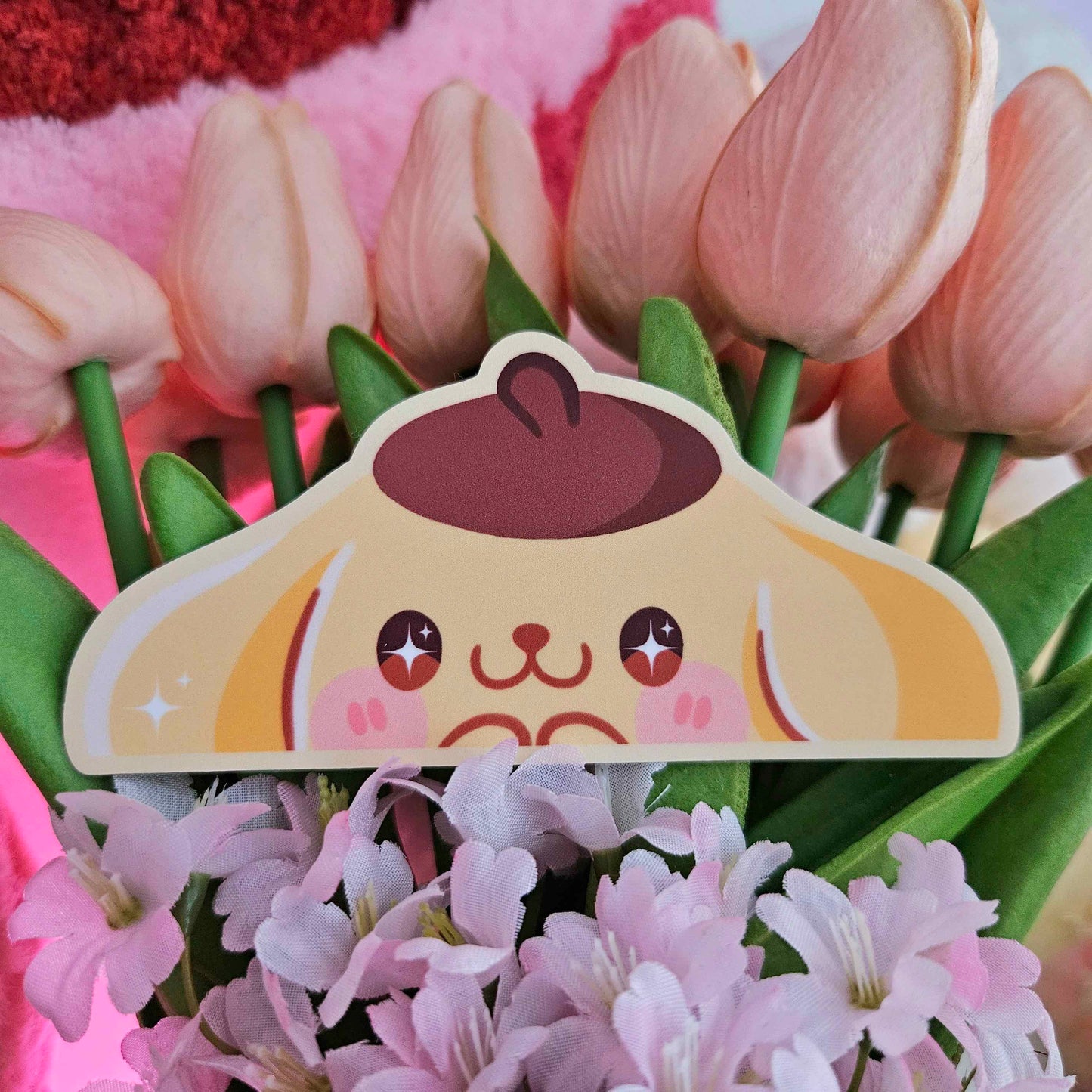 Mini Sanri✿ Stickers
