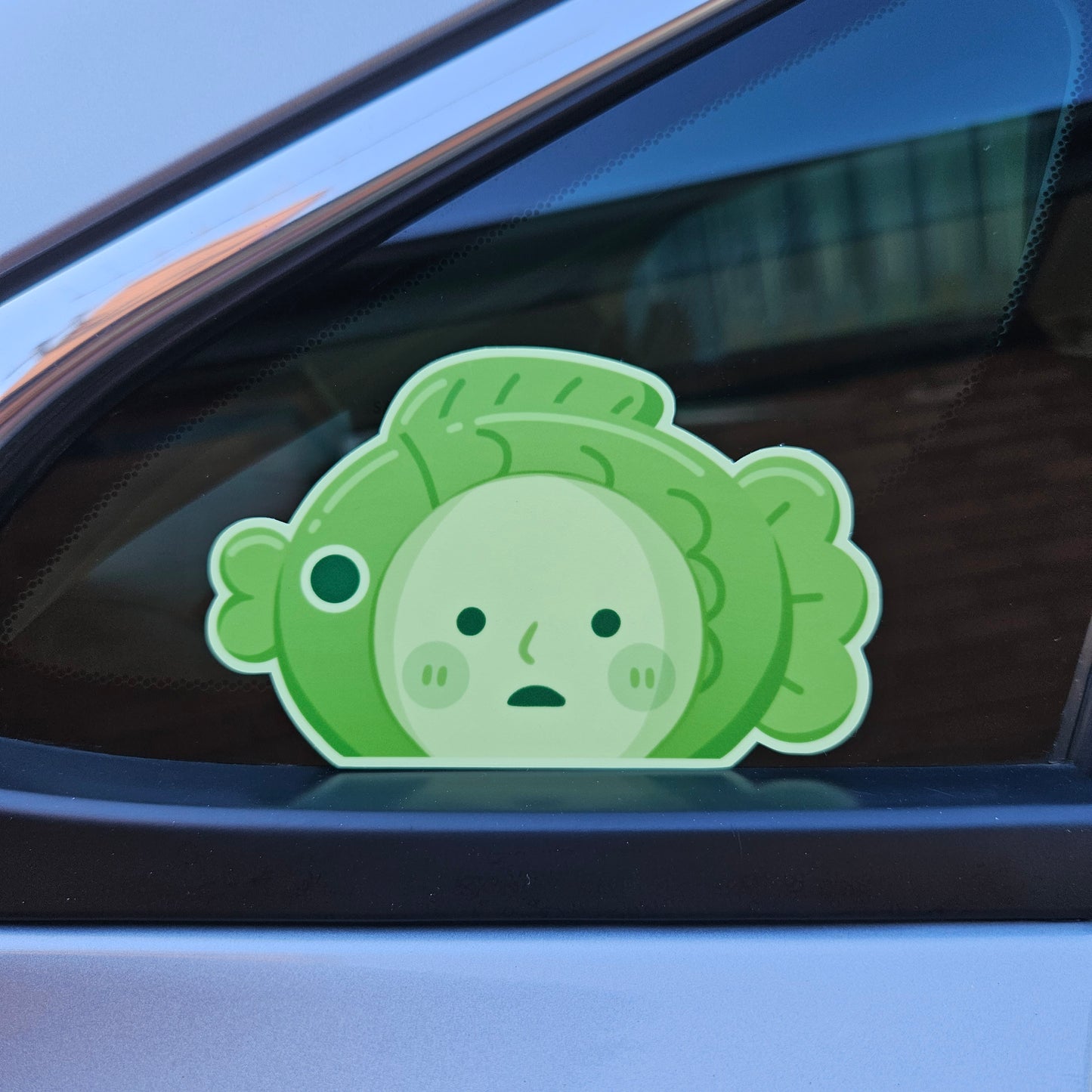 Fishski Peeker