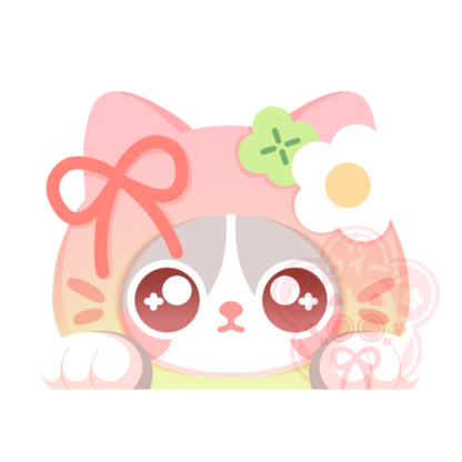 Kuki the Cat Peeker